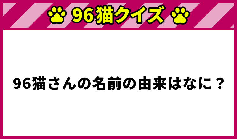 96猫クイズ