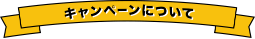 X（Twitter）キャンペーンについて