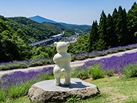 教習の合間も楽しみがいっぱい!