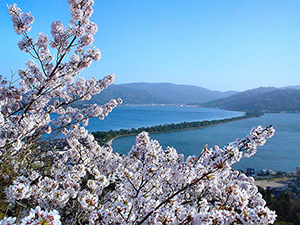日本三景の一つ「天橋立」は必見です イメージ