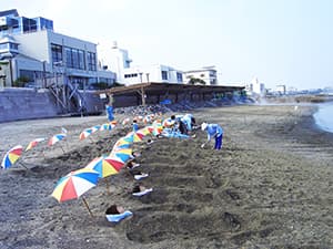 指宿名物「砂むし温泉」を体験しよう イメージ
