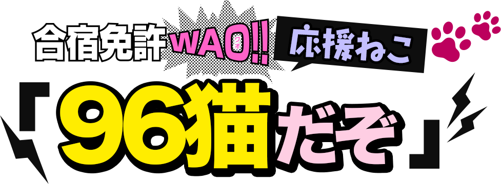 合宿免許WAO!!応援ねこ「96猫だぞ」