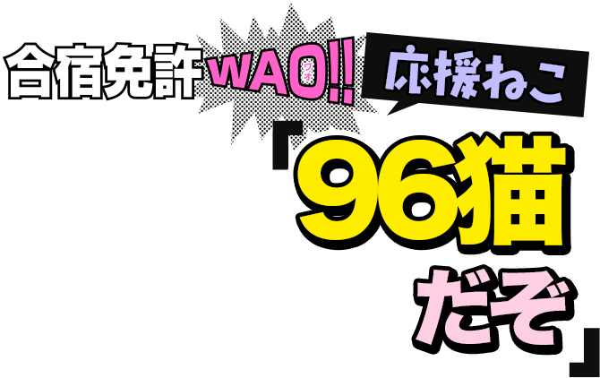 合宿免許WAO!!応援ねこ「96猫だぞ」