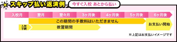 スキップ払い返済例イメージ