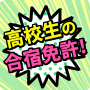 高校生の合宿免許